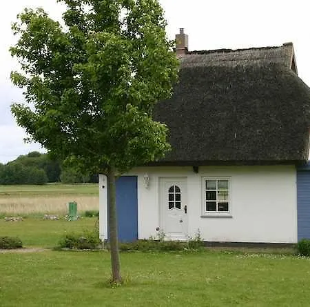 Ferienhaeuser Und _wohnungen Goorw Apartment